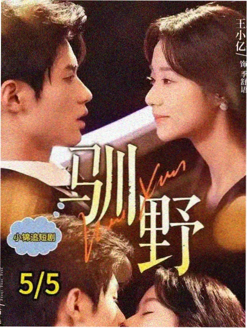 观剧境界体系入口